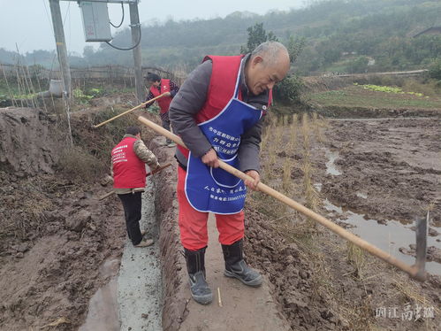 构建三级劳务服务体系,内江市市中区全力打造农民工 家门口就业圈