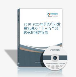 2015-2020年中国劳务行业企业投资策略及风险研究